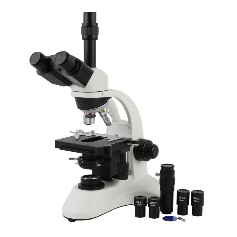 40X - 1600X Biological Microscope